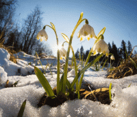 Март весенний стихи