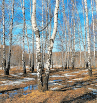 Март короткие стихи