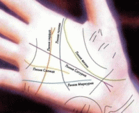 Стихи о хиромантии