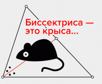 Биссектриса стих
