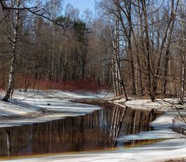 Март апрель стих