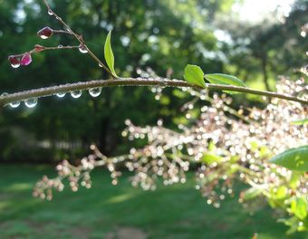 Сегодня весна стихи