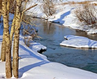 Стих будет март