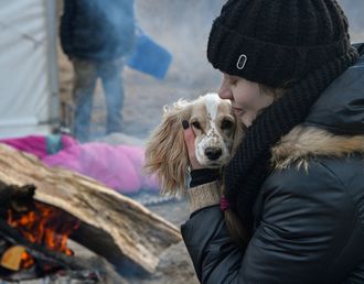 Стих доброта