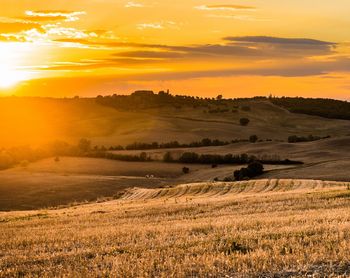 Стих с высоты