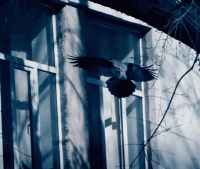 Ворон у окна стих