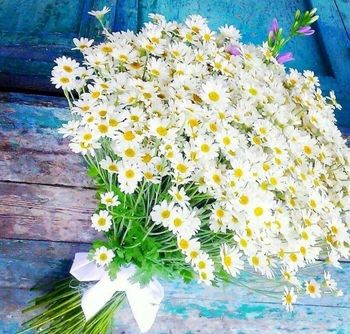 Букет ромашек стих