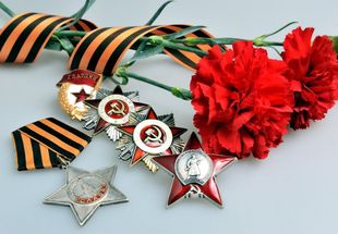 Гвоздики стих