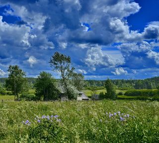 Моя Русь стих