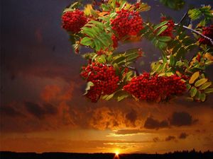 Рождение осени стихи