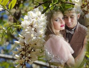 Зацвела акация стихи