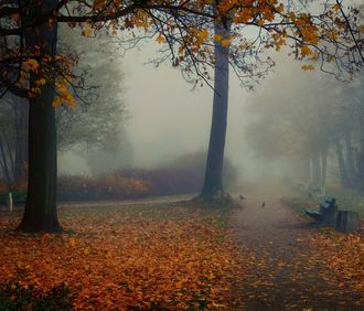 Дым осени стихи