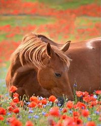 Эссе природа в жизни человека