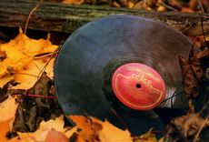 Музыка из окна стихи