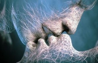 Слова нежности стих