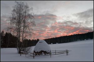 Снег поле стих