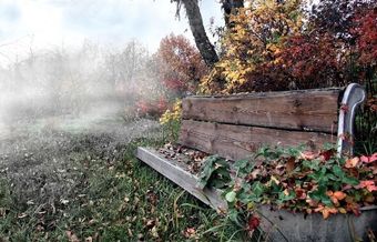 Стих серая осень