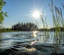 Весенняя вода стихи