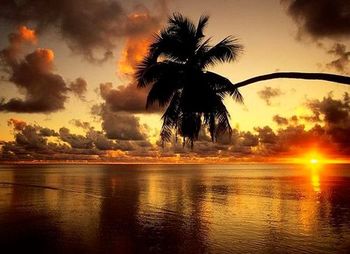 Африка стихи