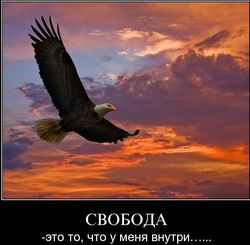 Что такое свобода стих