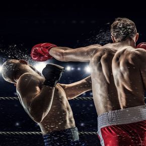 На ринге стих