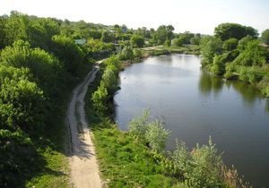 Село у реки стих