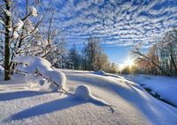 Стих февраль короткий