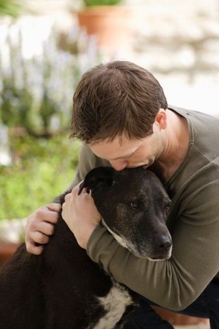 Стих я и пёс