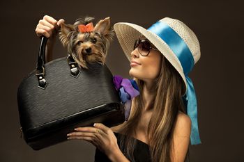 Стих я люблю свою собаку