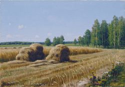 Стих про полдень