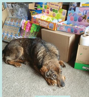 Стихи Афоне