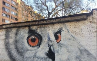 Стихи о рисунке на стене