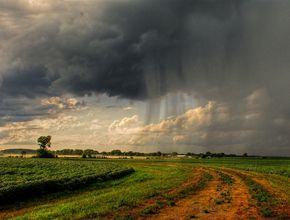 Стихи в ливень летом