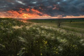 Братьям стихи Братьям стихи