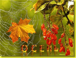 Осень увядание стихи