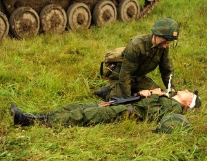 Ранен но не убит стихи