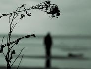 Стих кручина