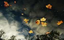 Стихи в плену себя