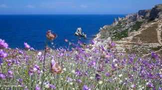 Красота земли стихи