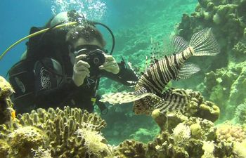 Под водой стихи