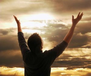 Стихи не дай мне бог