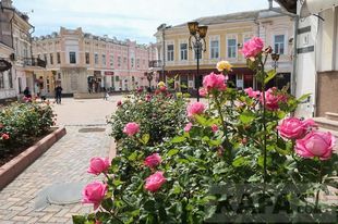 Стихи о Феодосии