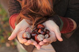 Стихи о каштанах