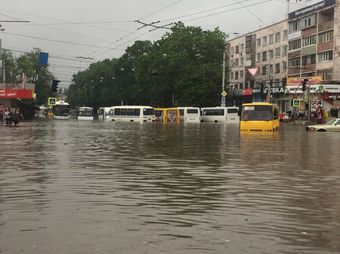 Весь промок стих