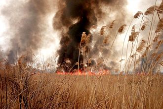 Земля горит стихи