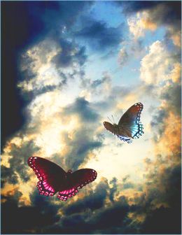 Бабочка стихи