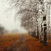 Осень и туман стихи