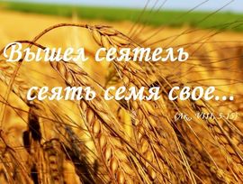 Сеятель стих