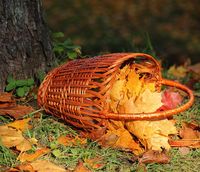 Сентябрь осень стихи