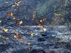 Скоро холода стихи